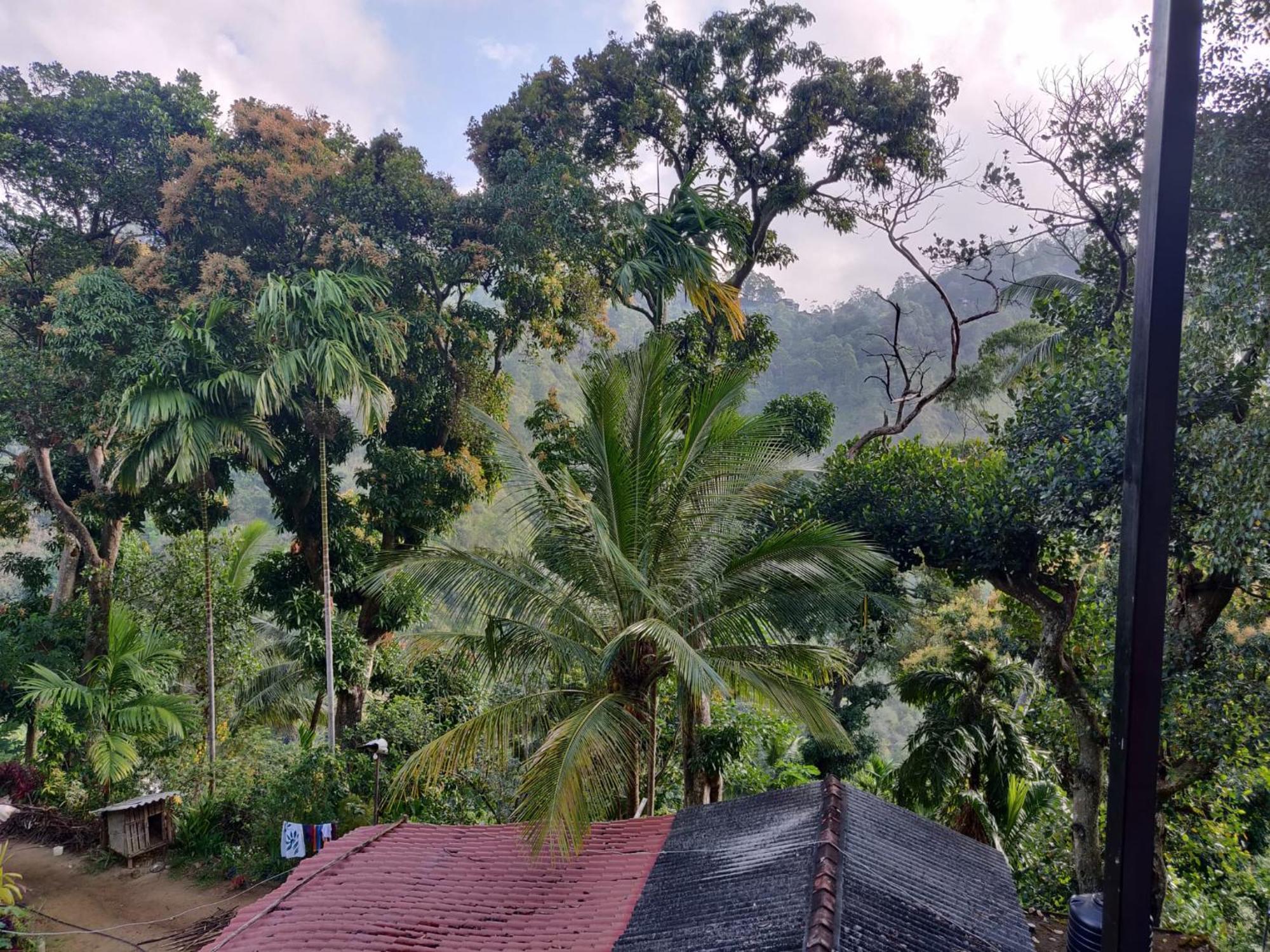 Forest Rawana Homestay Елла Екстер'єр фото