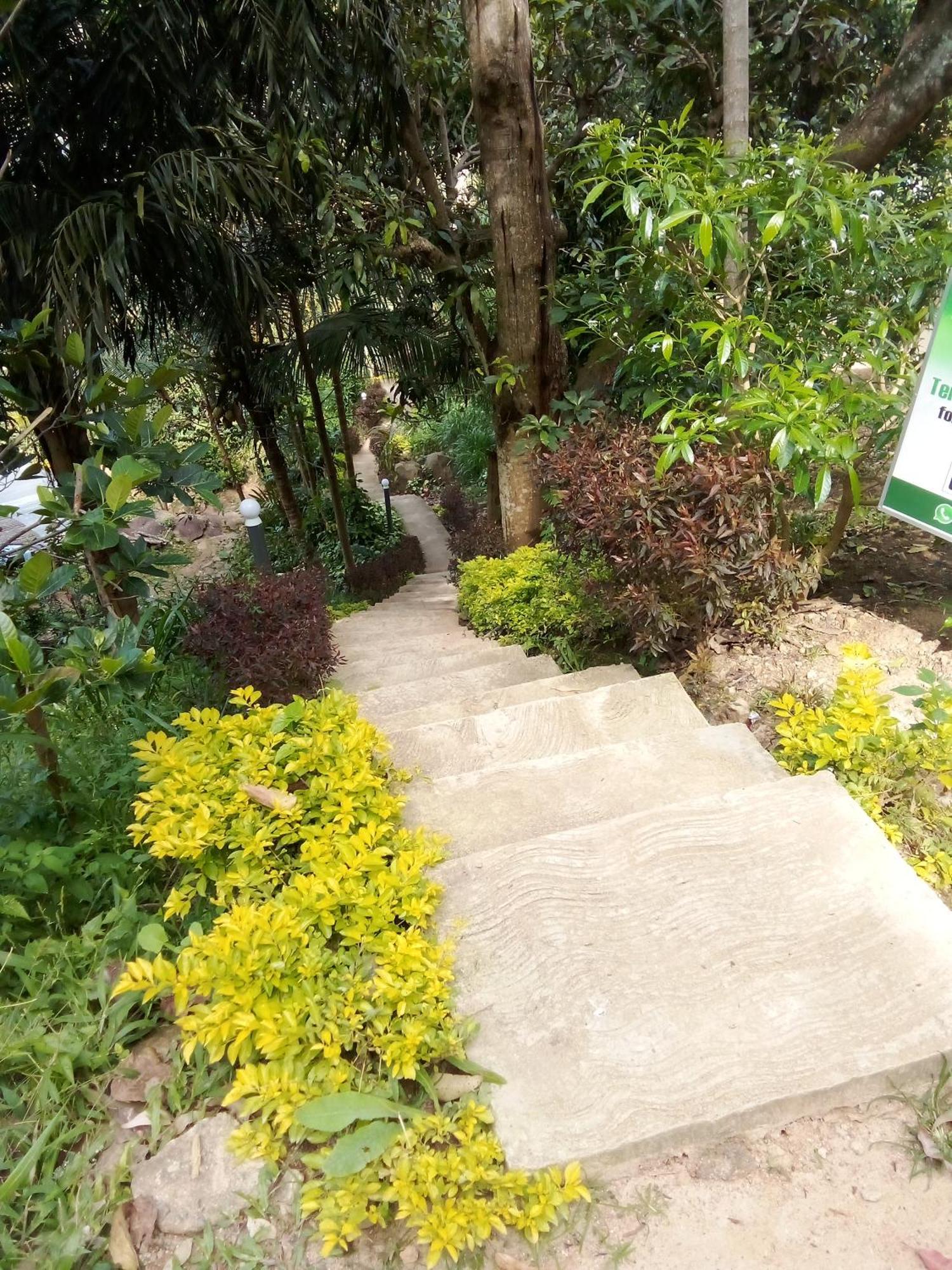 Forest Rawana Homestay Елла Екстер'єр фото